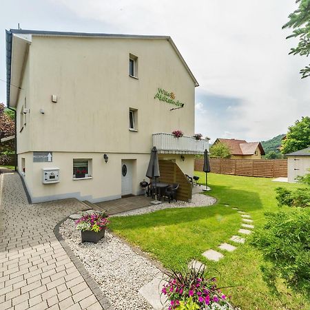 Willa Aleksandra - Apartamenty Miedzybrodzie Żywieckie Esterno foto