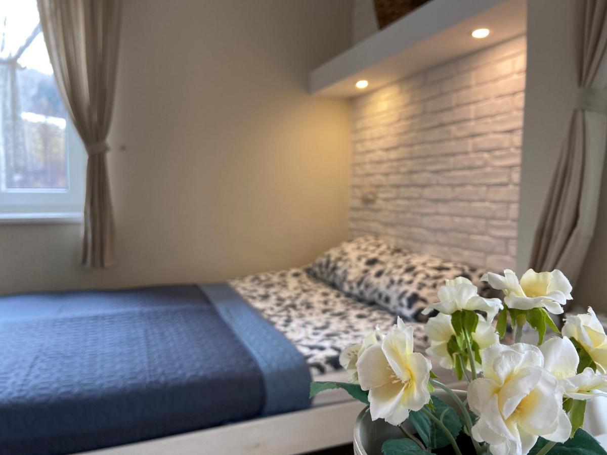 Willa Aleksandra - Apartamenty Miedzybrodzie Żywieckie Esterno foto