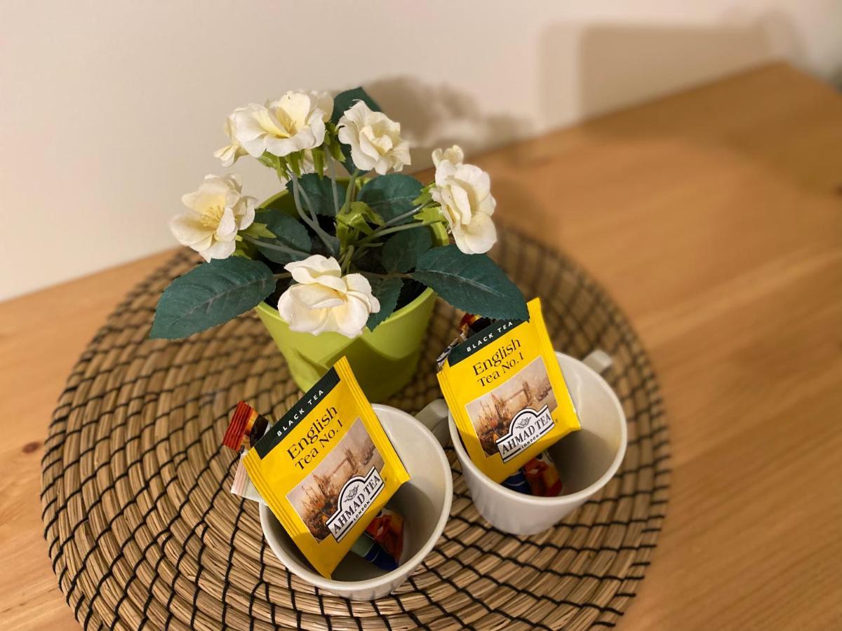 Willa Aleksandra - Apartamenty Miedzybrodzie Żywieckie Esterno foto