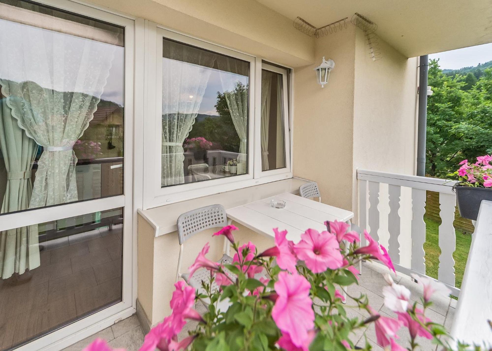 Willa Aleksandra - Apartamenty Miedzybrodzie Żywieckie Esterno foto