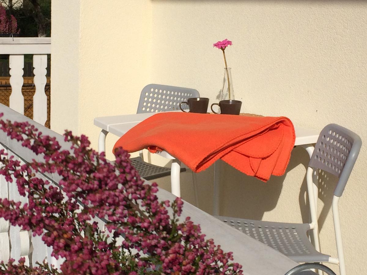 Willa Aleksandra - Apartamenty Miedzybrodzie Żywieckie Esterno foto